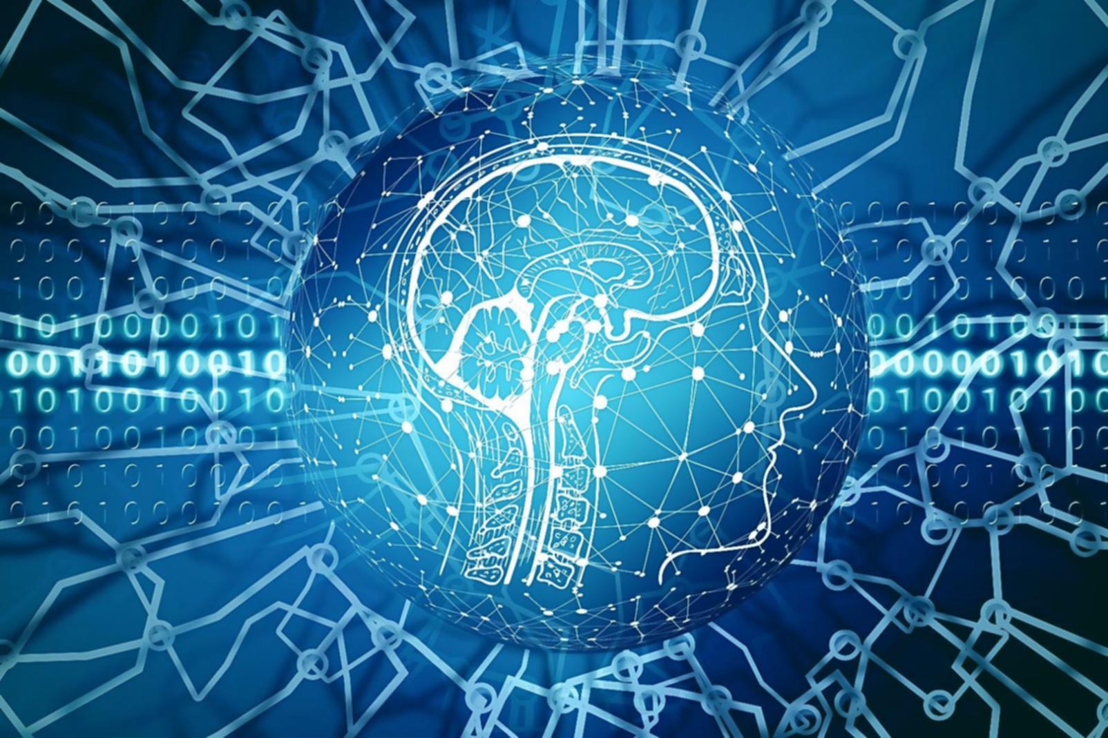 Neural network training workspace